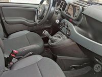 Usata Fiat Panda Cross Cross 2023 Nero Utilitaria