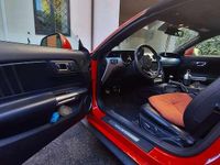 Usata Ford Mustang Convertible 317 CV (233 kW) 2017 Rosso Cabrio