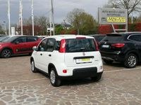 Usata Fiat Panda S 70 CV (51 kW) 2023 Bianco Utilitaria