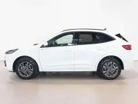 Usata Ford Kuga ST-Line X 154 CV (113 kW) 2023 Bianco SUV