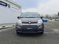 usata Fiat Panda 1.0 FireFly S&S Hybrid 70cv 5 posti