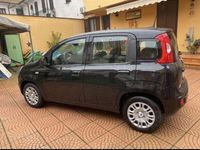 Usata Fiat Panda Icon 69 CV (50 kW) 2025 Utilitaria