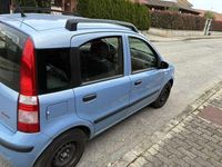 Usata Fiat Panda Dynamic 60 CV (44 kW) 2007 Utilitaria