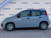 Usata Fiat Panda City Life 69 CV (50 kW) 2022 Grigio Utilitaria