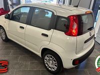 Neu Fiat Panda Pop 69 PS (50 kW) 2025 Weiß Kleinwagen
