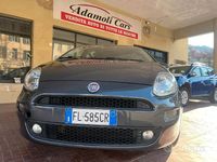 Usata Fiat Punto Easy 69 CV (50 kW) 2017 Canna di fucile Utilitaria