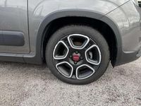Usata Fiat Panda City Life 69 CV (50 kW) 2022 Grigio Utilitaria