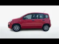 Usata Fiat Panda Easy 69 CV (50 kW) 2019 Rosso Utilitaria