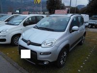 Usata Fiat Panda 4x4 74 CV (54 kW) 2017 Grigio Utilitaria
