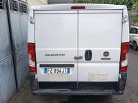 Usata Fiat Ducato 140 CV (102 kW) 2020 Bianco Furgone