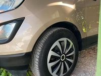 Usata Ford Ecosport 100 CV (73 kW) 2018 SUV