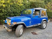 Usata Jeep Wrangler 184 CV (135 kW) 1995 Blu SUV