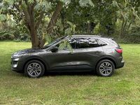 Usata Ford Kuga Titanium 152 CV (111 kW) 2021 SUV