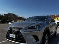 Usata Lexus NX300h Sport Line 155 CV (114 kW) 2018 SUV