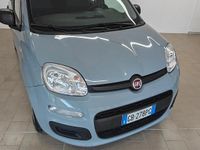 Usata Fiat Panda Easy 69 CV (50 kW) 2020 Grigio Berlina