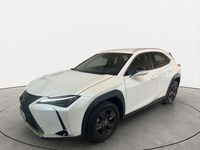 Usata Lexus UX 183 CV (134 kW) 2024 Bianco SUV