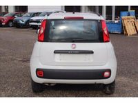 usata Fiat Panda 1.2 Lounge