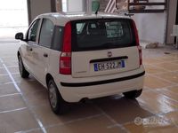 usata Fiat Panda Panda 1.3 MJT 80 CV S&S Easy