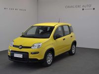 Nuova Fiat Panda Pop 69 CV (50 kW) 2025 Giallo Utilitaria