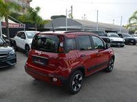 usata Fiat Panda Cross 1.0 FireFly S&S Hybrid