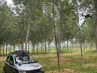 Usata Fiat Panda 4x4 60 CV (44 kW) 2006 Grigio Utilitaria