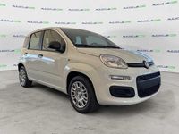 Nuova Fiat Panda Icon 69 CV (50 kW) 2025 Bianco Utilitaria