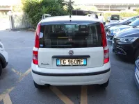 Usata Fiat Panda Dynamic 75 CV (55 kW) 2011 Bianco Utilitaria