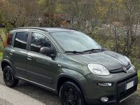 Usata Fiat Panda 4x4 Climbing 95 CV (69 kW) 2018 Verde Utilitaria