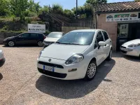 Usata Fiat Punto Lounge 75 CV (55 kW) 2015 Bianco Utilitaria
