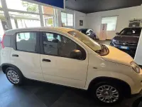 Usata Fiat Panda S 69 CV (50 kW) 2025 Bianco Utilitaria