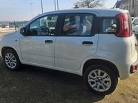 Usata Fiat Panda 85 CV (62 kW) 2020 Bianco Utilitaria