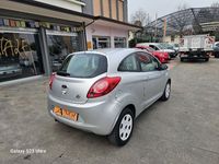 usata Ford Ka 1.2 8V 69CV usato