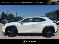 Nuova Lexus UX 300h 199 CV (146 kW) 2026 Biancoblack SUV