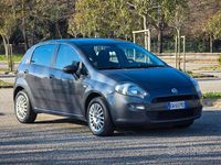 Usata Fiat Punto Lounge 75 CV (55 kW) 2014 Grigio Utilitaria