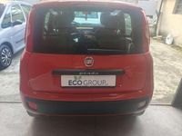 Usata Fiat Panda Easy 80 CV (58 kW) 2017 Rosso Utilitaria