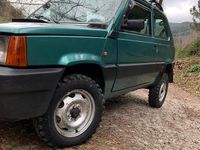 usata Fiat Panda 4x4 trekking