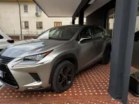 Usata Lexus NX300h Sport Line 197 CV (144 kW) 2021 Grigio SUV