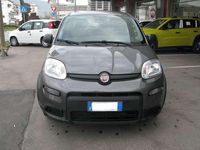 Usata Fiat Panda S 71 CV (52 kW) 2023 Grigio Utilitaria