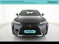 Usata Lexus UX 152 CV (111 kW) 2024 Grigio SUV