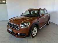 usata Mini Countryman F60