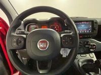 Usata Fiat Panda Cross Cross 69 CV (50 kW) 2024 Rosso Utilitaria