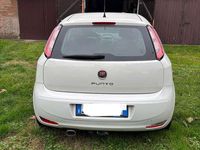 Usata Fiat Punto Lounge 75 CV (55 kW) 2013 Bianco Berlina