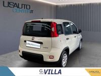 Usata Fiat Panda Icon 70 CV (51 kW) 2024 Bianco Utilitaria