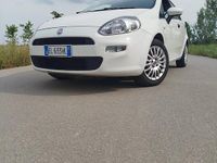 Usata Fiat Punto 65 CV (47 kW) 2012 Bianco Utilitaria