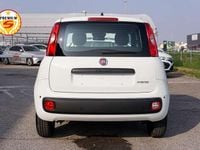 Nuova Fiat Panda Pop 69 CV (50 kW) 2025 Bianco gelato Utilitaria