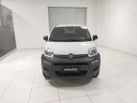Usata Fiat Panda 4x4 Pop 86 CV (63 kW) 2021 Bianco Utilitaria