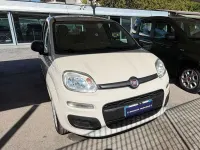 Usata Fiat Panda Easy 69 CV (50 kW) 2017 Beige Utilitaria