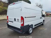 Usata Fiat Ducato 33 140 CV (102 kW) 2024 Bianco Furgone