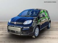 usata Fiat Panda 1.0 firefly hybrid 70cv