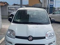 Usata Fiat Panda Easy 69 CV (50 kW) 2021 Other Utilitaria